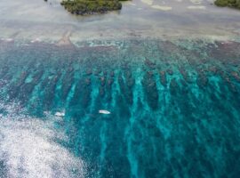 Why Belize Is the Next Bali for Luxury Travelers in 2026 Belize luxury travel 2026