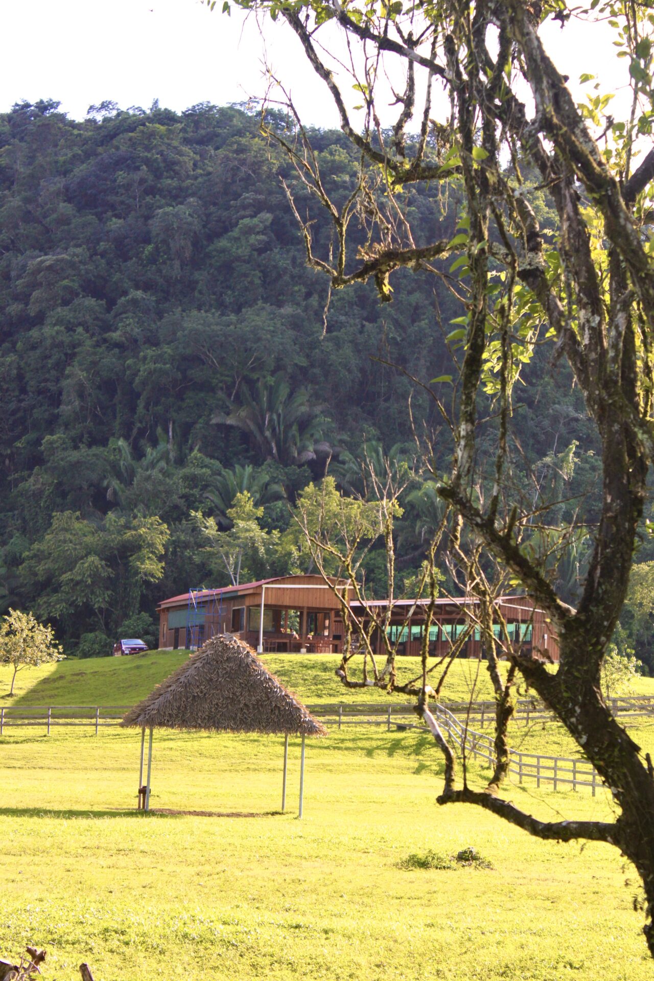 Jungle horseback riding