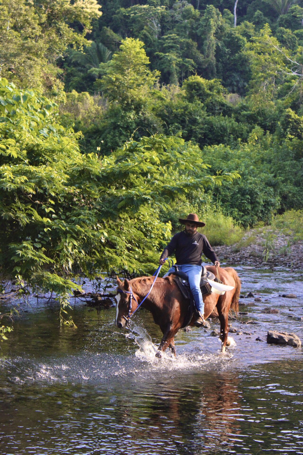 jungle horseback riding