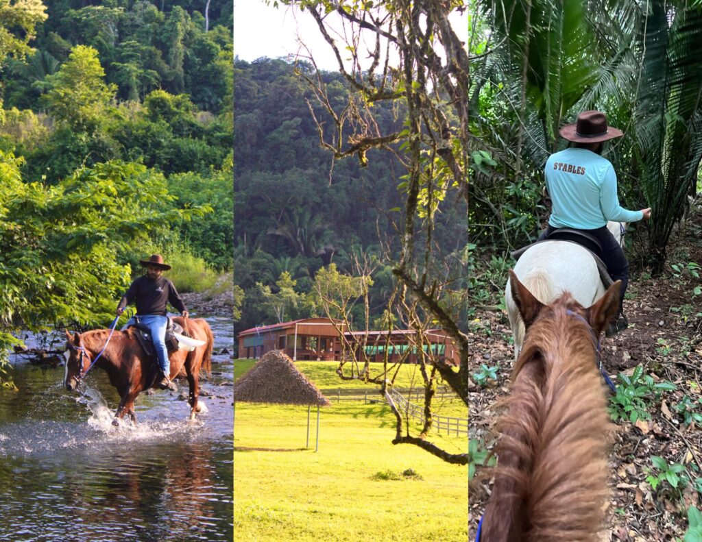 Belize Jungle horseback riding