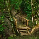 Belize January travel