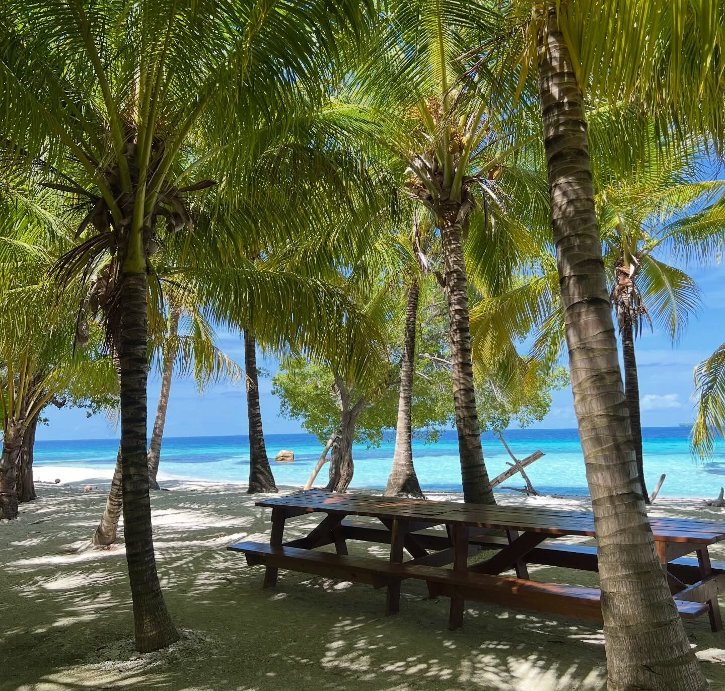 best time to visit belize