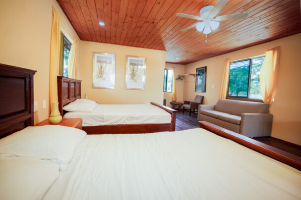 Belize jungle cabins