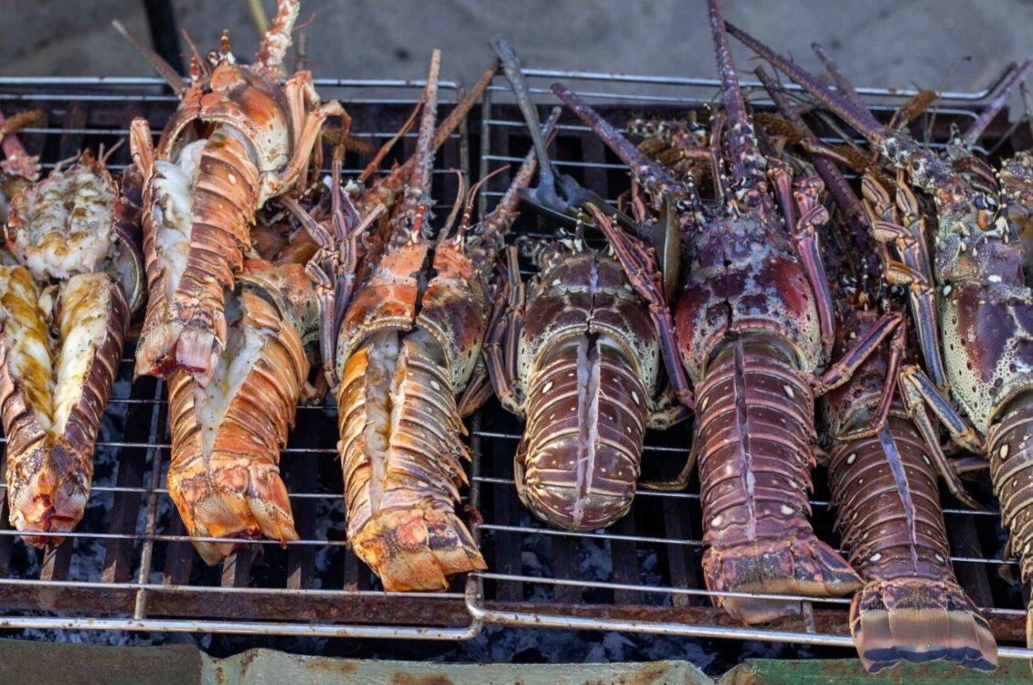 belize lobsterfest