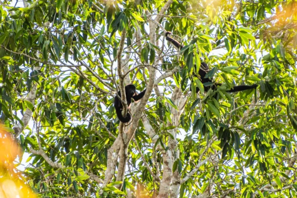 hidden places in Belize