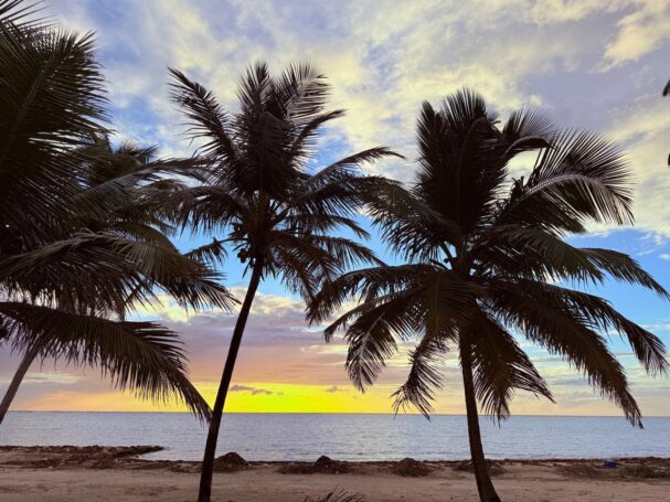 Ambergris Caye property