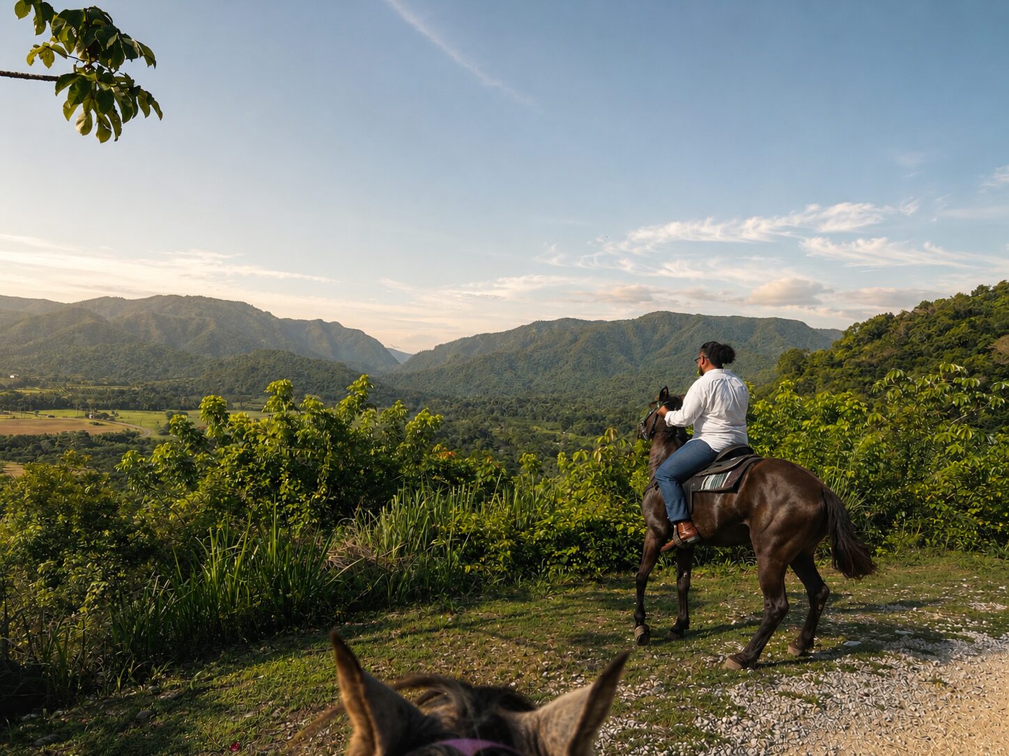 Jungle Horseback Riding