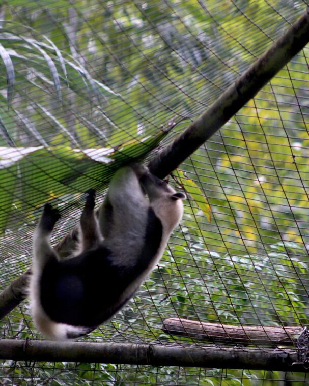 Belize with kids