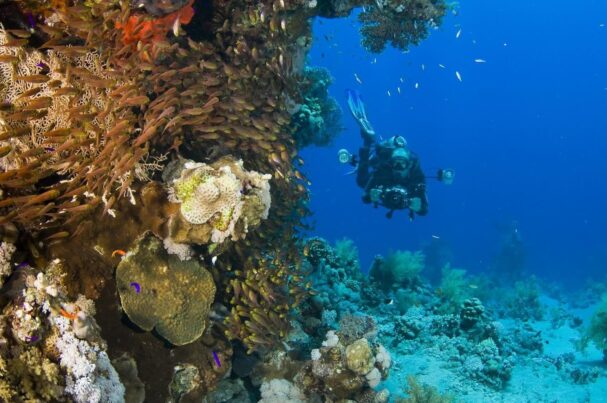 Belize marine adventures