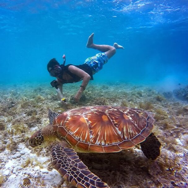 Belize travel guide