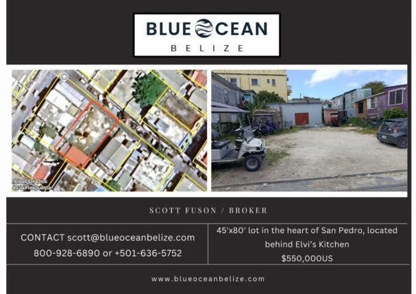 Blue Ocean Belize