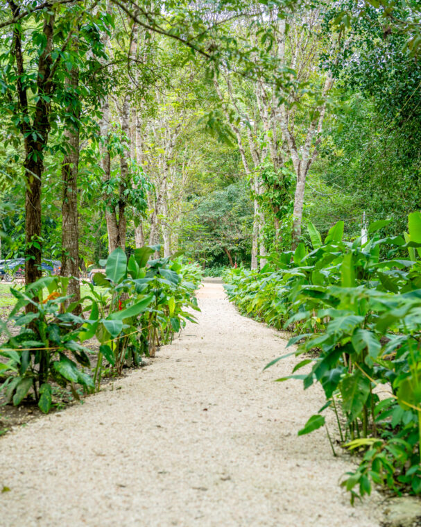 best time to visit Belize
