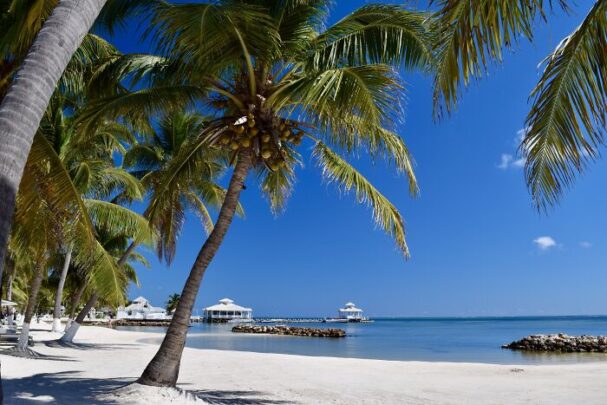 Belize waterfront homes