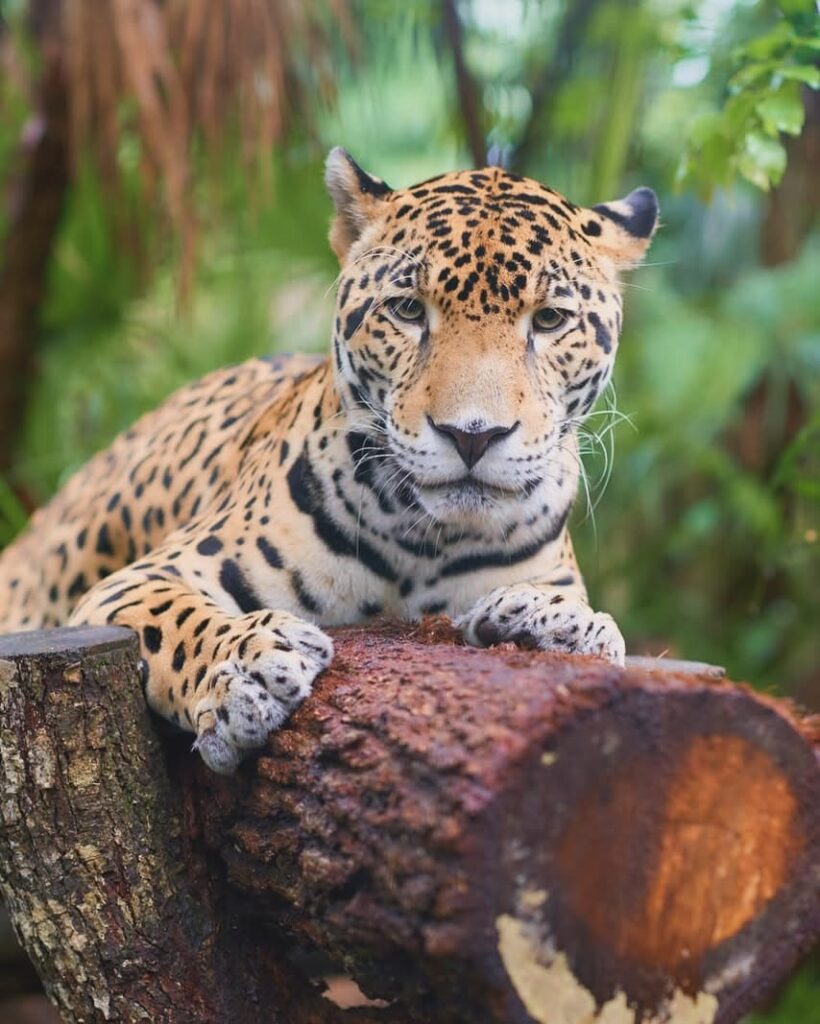 belize adventure travel