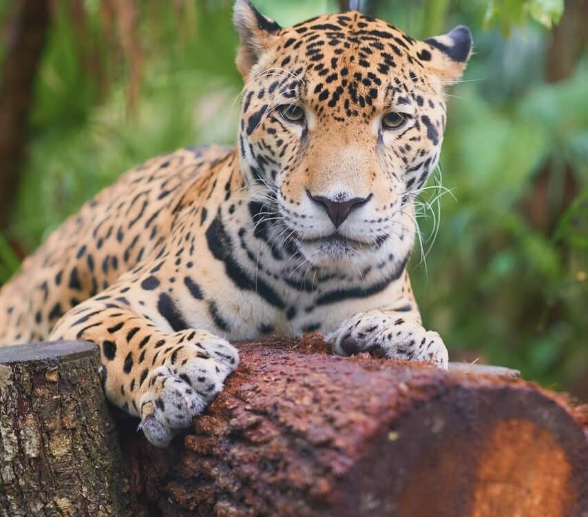 belize adventure travel