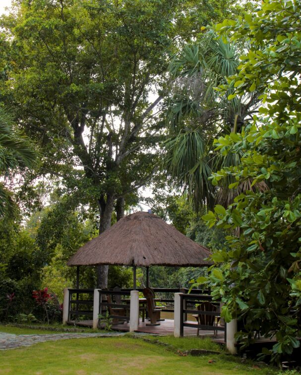 Belize jungle resort