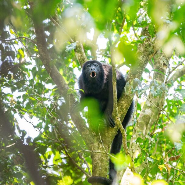 Belize green season travel