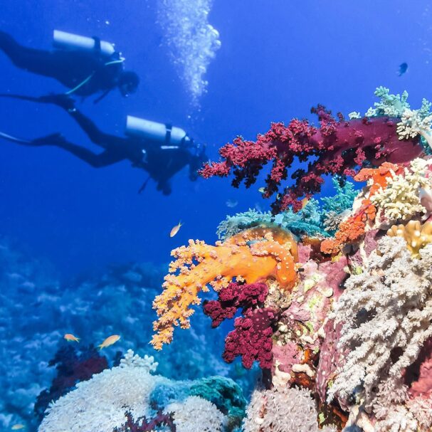 Belize travel advice