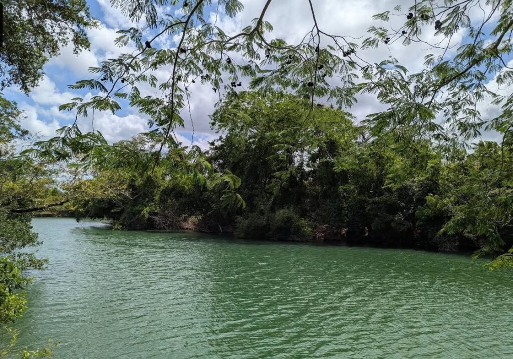 Belize jungle resort
