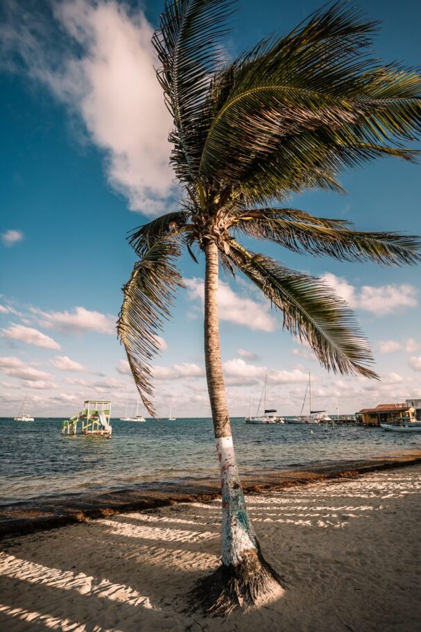 Belize property investment