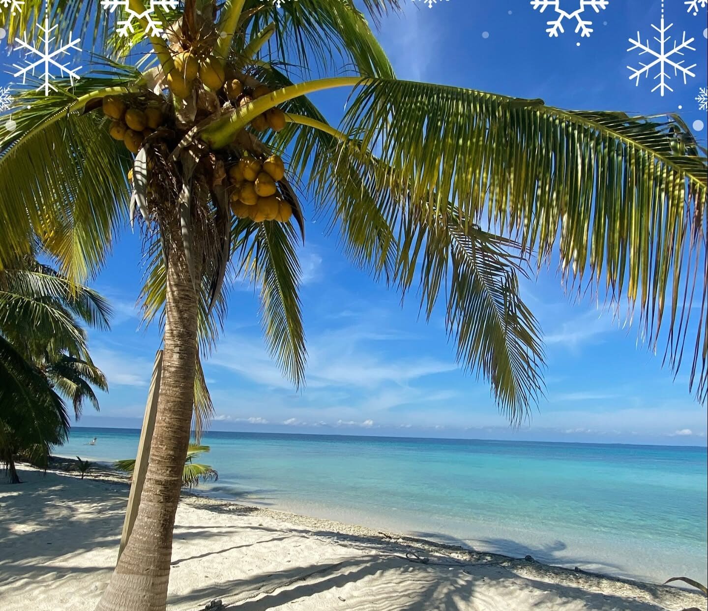 Christmas in Belize