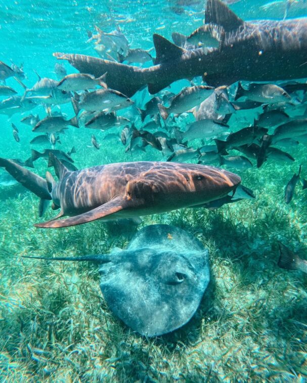 Belize holiday travel