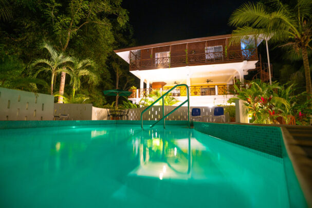 Villa Massis Bullet Tree Falls