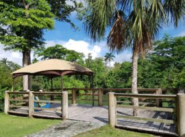 How to Time Your Belize Trip for the Best Weather Belize weather guide