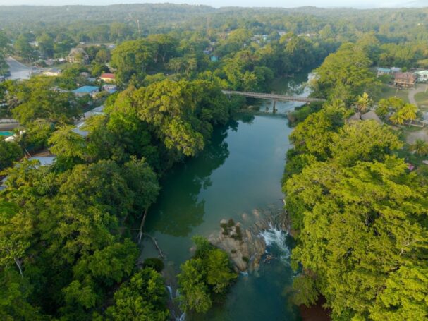 Bullet Tree Falls Belize