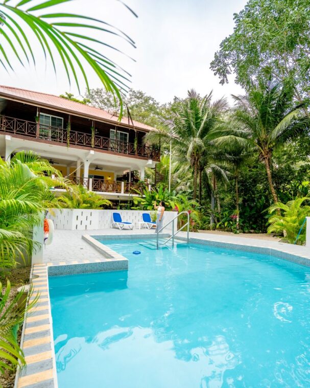 Villa Massis Bullet Tree Falls
