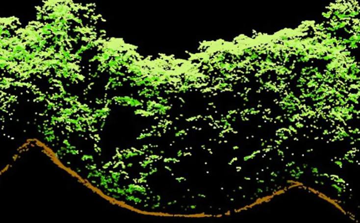 Maya archaeology news