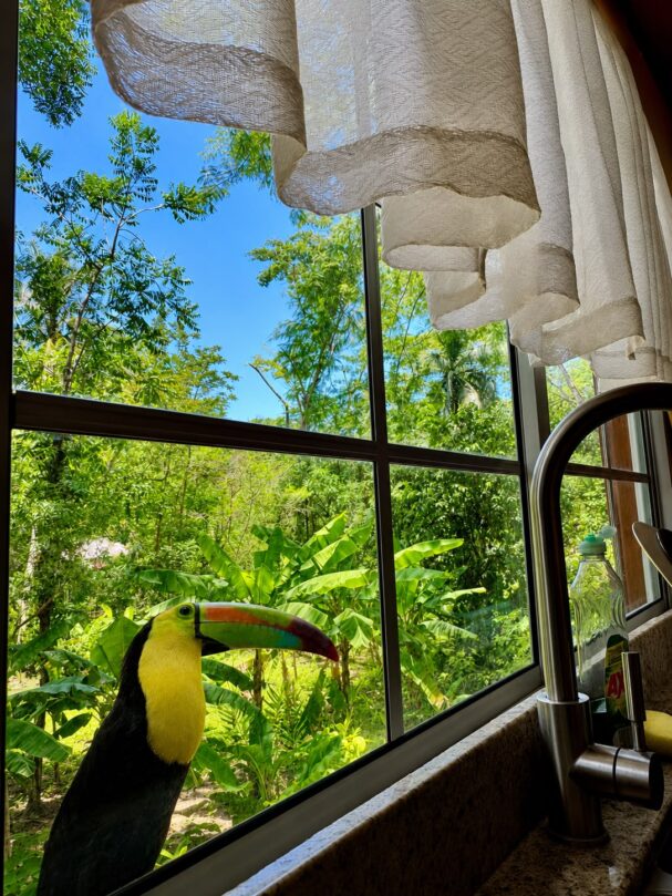destination birthday Belize