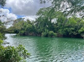 Belize in December