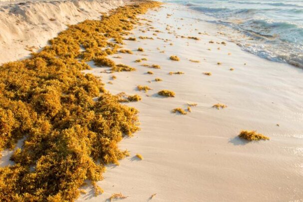 best time to visit Belize beaches